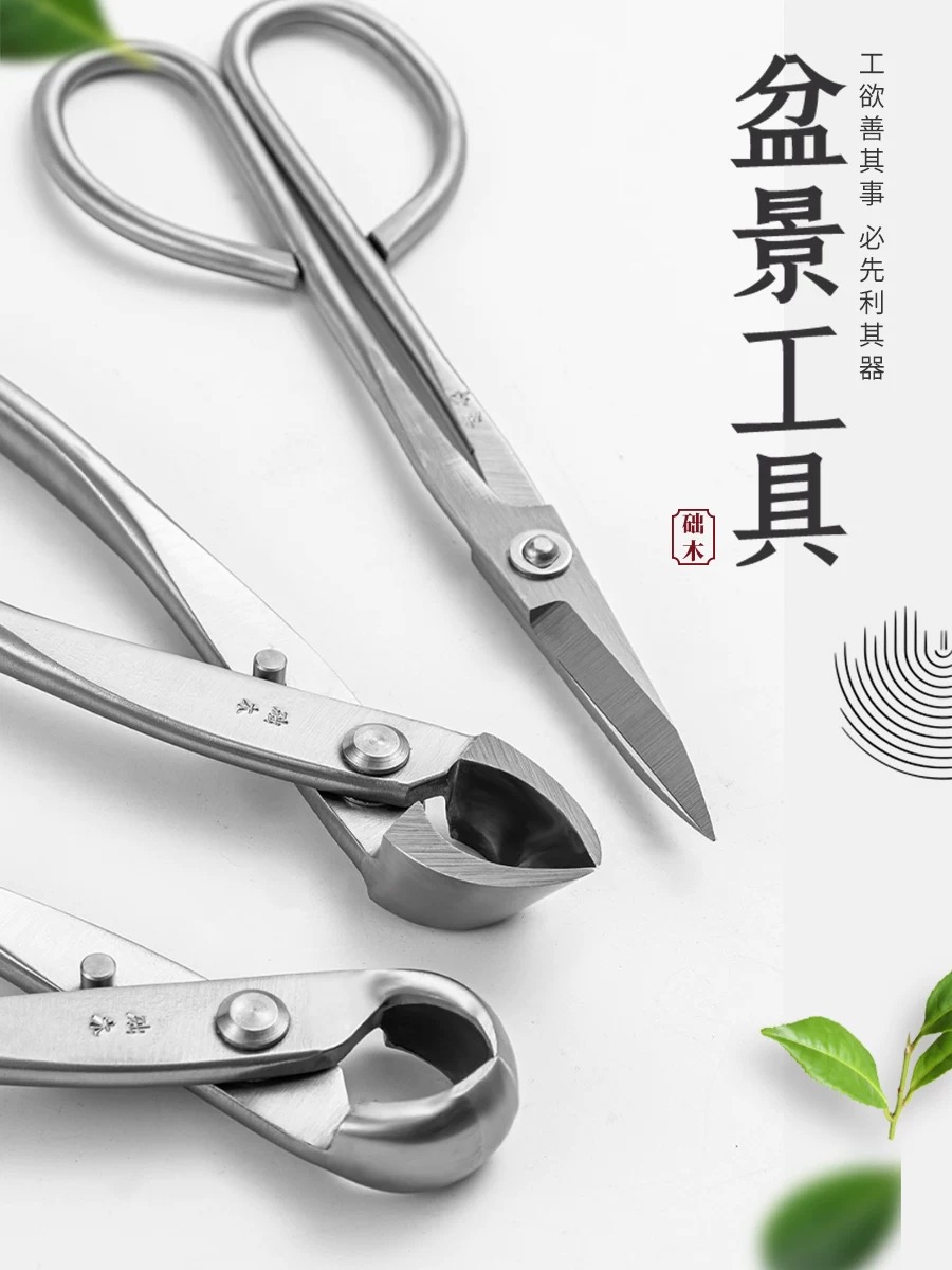Bonsai Garden Rake - Set di Attrezzi per Bonsai (3
