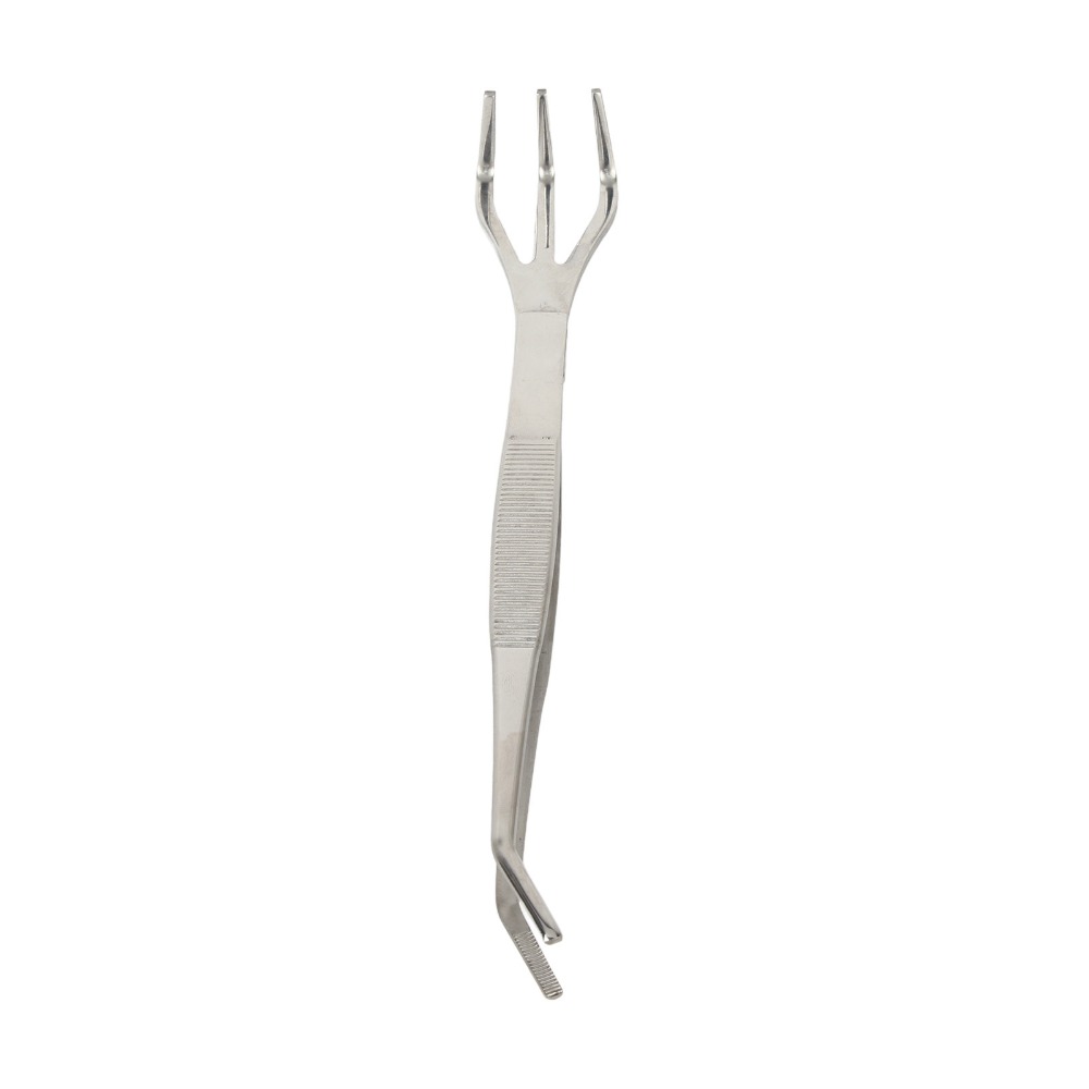 Bonsai Garden Rake - Resistente Rastrello per Bonsai 2 in