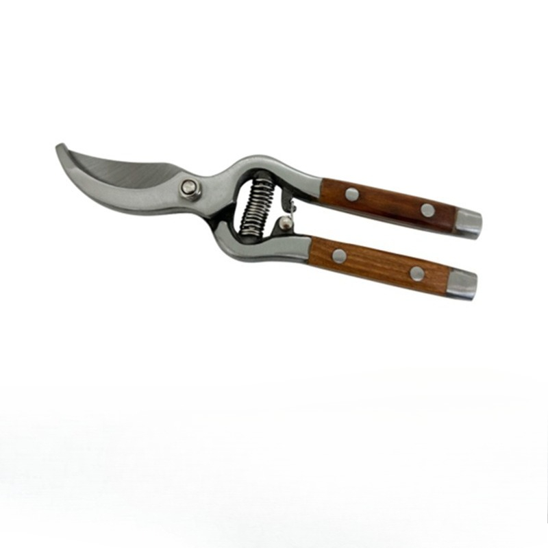 1 pezzo di forbici da potatura - Bonsai Garden Rake recensione e prezzo
