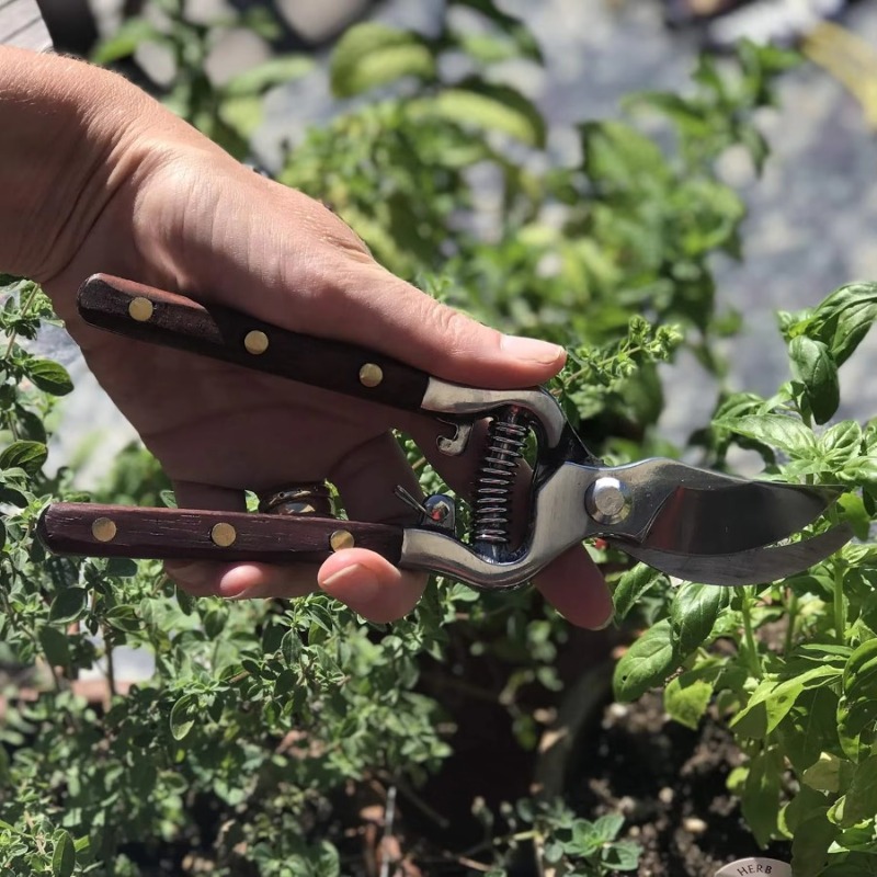 1 pezzo di forbici da potatura - Bonsai Garden Rake recensione e prezzo