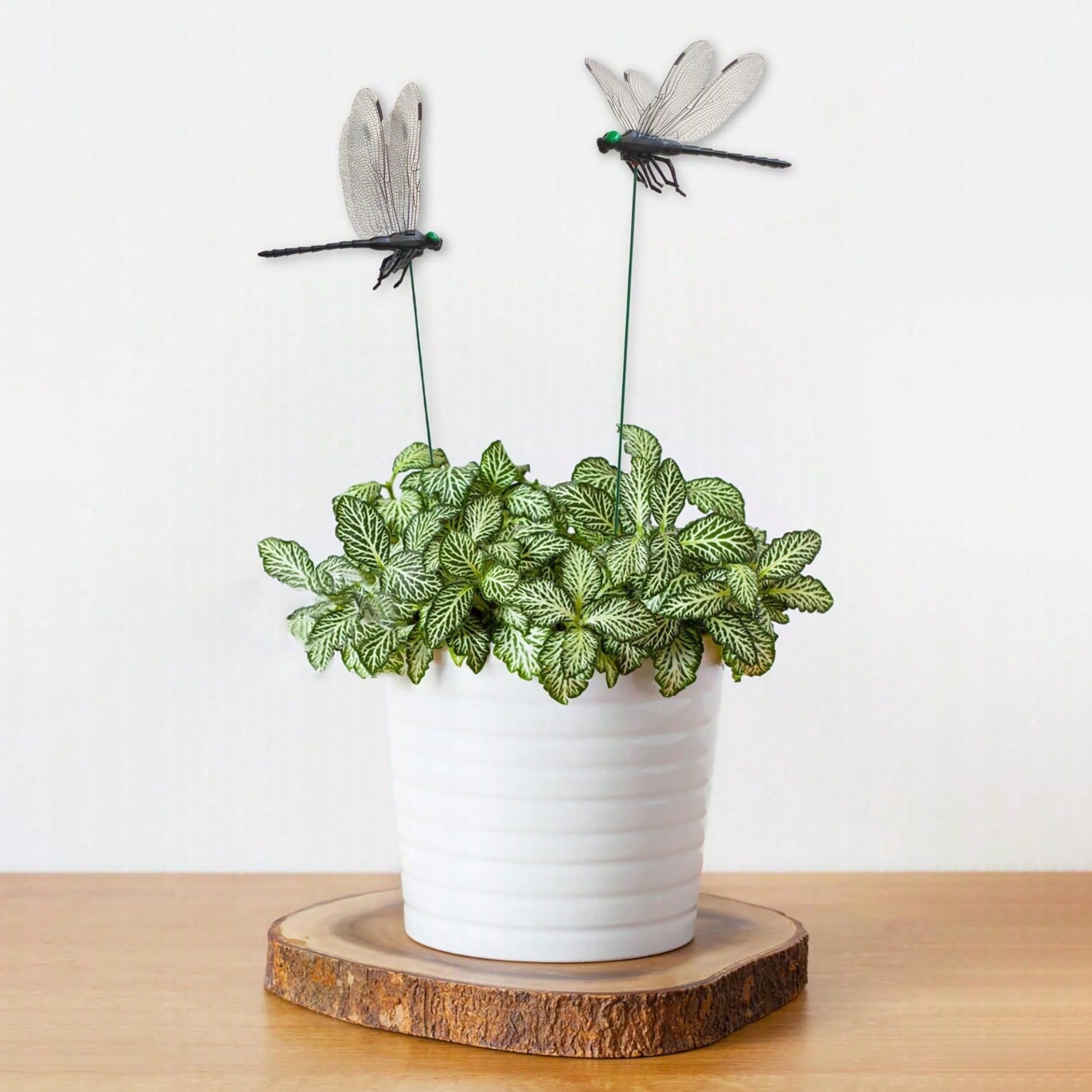 10 Pezzi Decorativi a Forma di - Bonsai Garden Decor recensione e prezzo