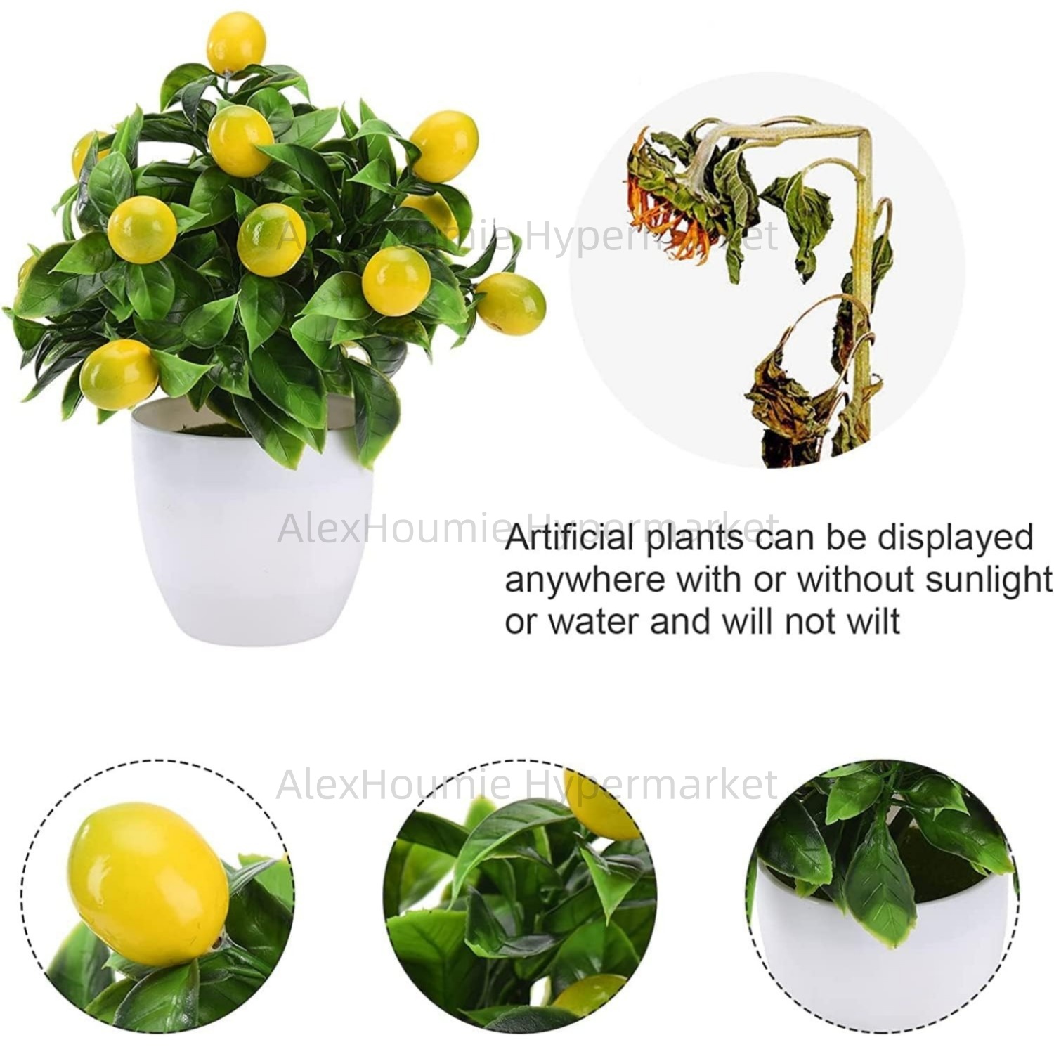 Albero di limone finto Piccola - Bonsai Garden Sushi recensione e prezzo