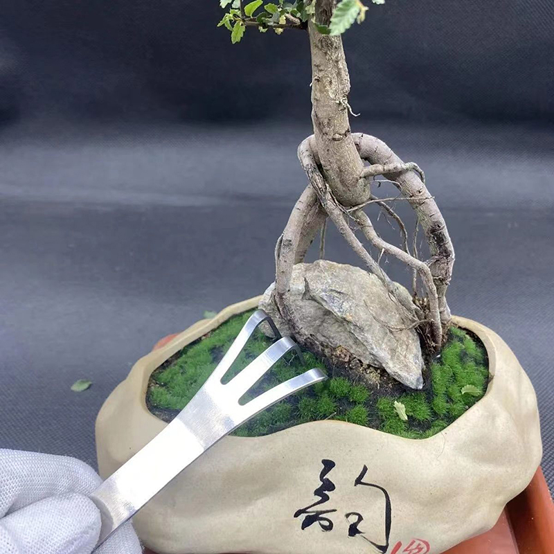 1Pc rastrello per radici in ac - Bonsai Garden Rake recensione e prezzo