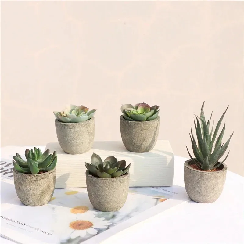Mini piante artificiali di alo - Bonsai Garden Sushi recensione e prezzo