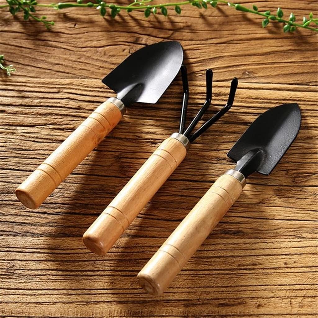 Set di 3 Attrezzi da Giardino: - Bonsai Garden Rake recensione e prezzo