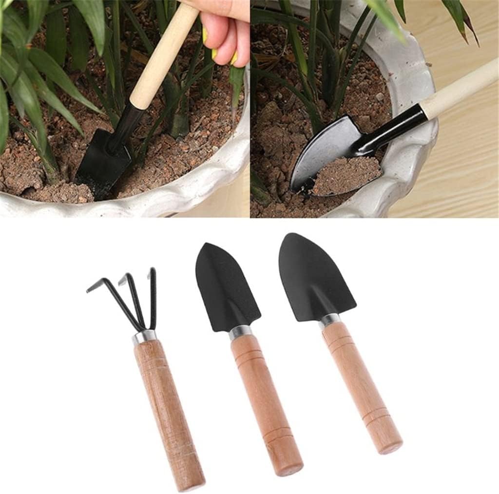 Set di 3 Attrezzi da Giardino: - Bonsai Garden Rake recensione e prezzo