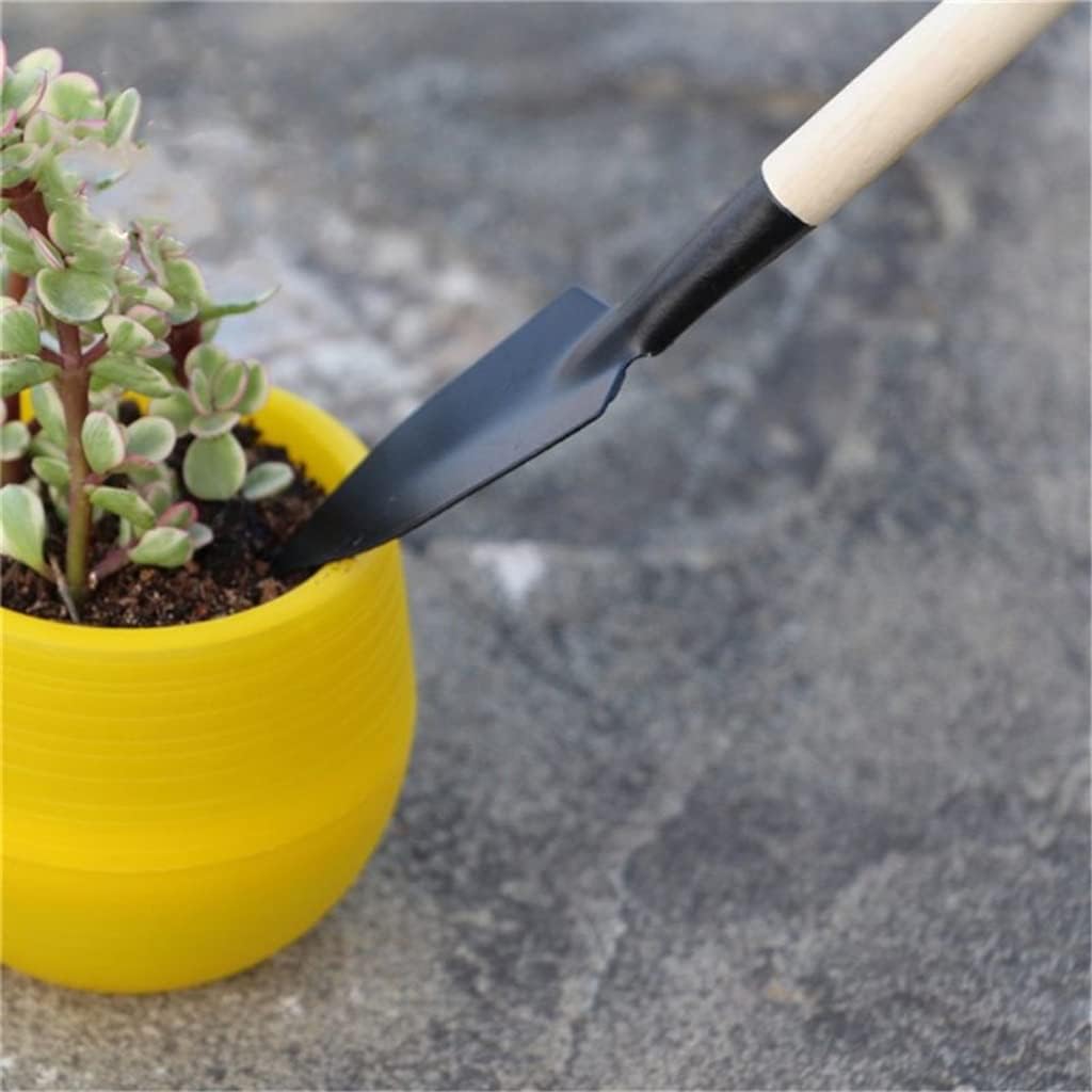 Set di 3 Attrezzi da Giardino: - Bonsai Garden Rake recensione e prezzo