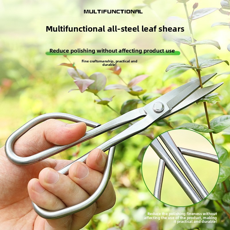 Forbici per foglie tenere Stru - Bonsai Garden Rake recensione e prezzo