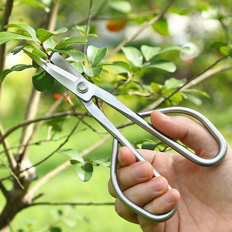 Forbici per foglie tenere Stru - Bonsai Garden Rake recensione e prezzo