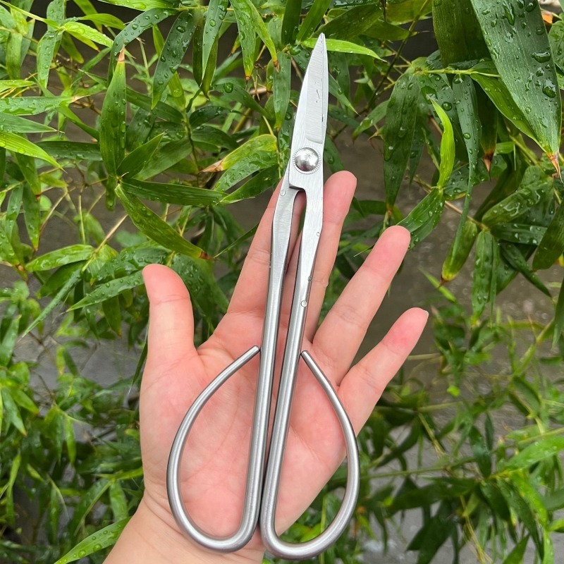 Forbici per foglie tenere Stru - Bonsai Garden Rake recensione e prezzo